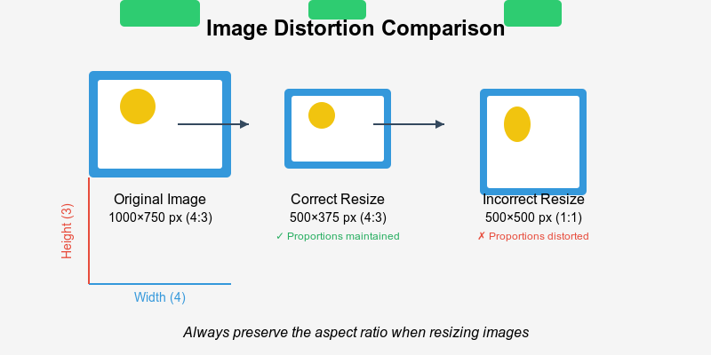 How to Resize Images Without Distortion or Quality Loss